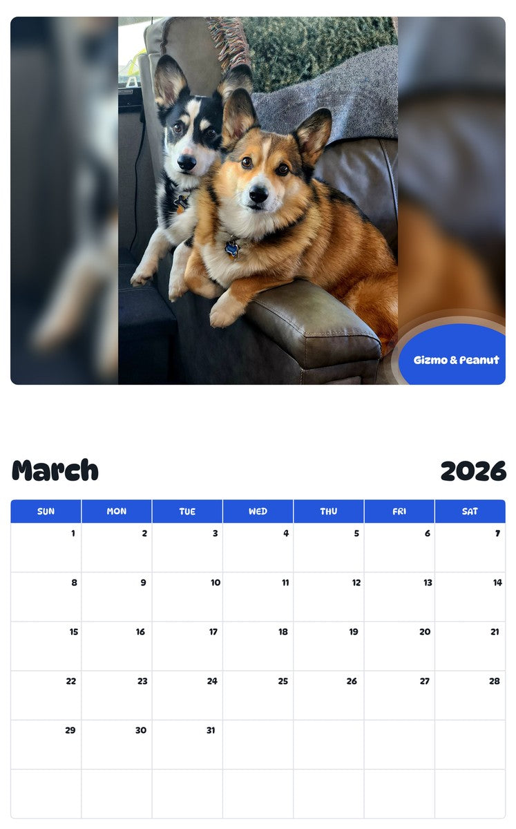 November 2025 - October 2026 Gizmo & Peanut - Pawidols Pet Calendar