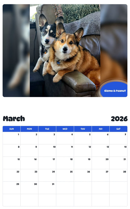 November 2025 - October 2026 Gizmo & Peanut - Pawidols Pet Calendar