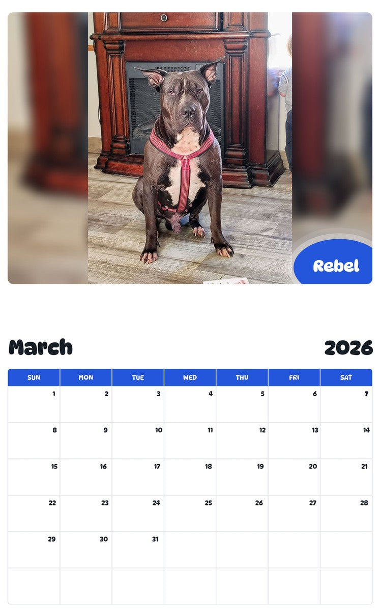 November 2025 - October 2026 Rebel - Pawidols Pet Calendar