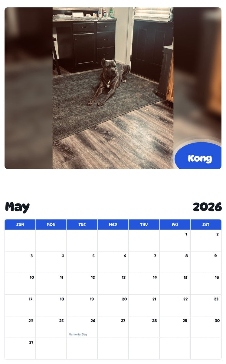 2026 - 2027 Kong - Pawidols Pet Calendar