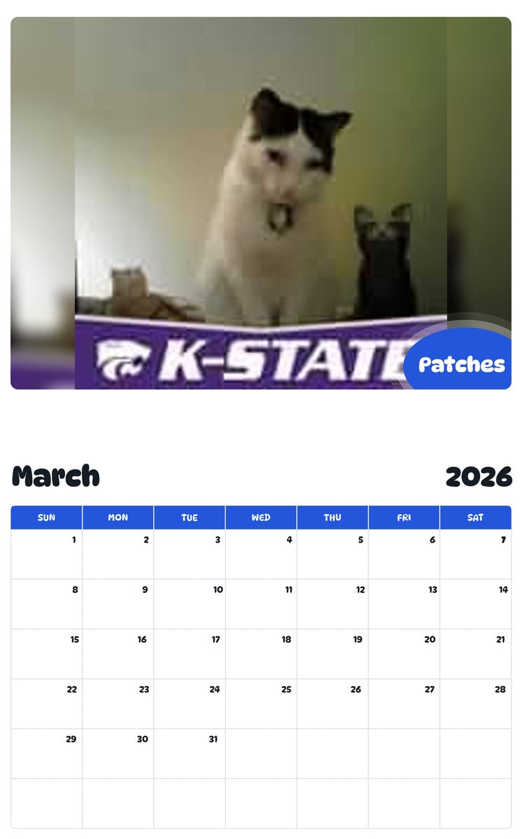 November 2025 - October 2026 Patches - Pawidols Pet Calendar