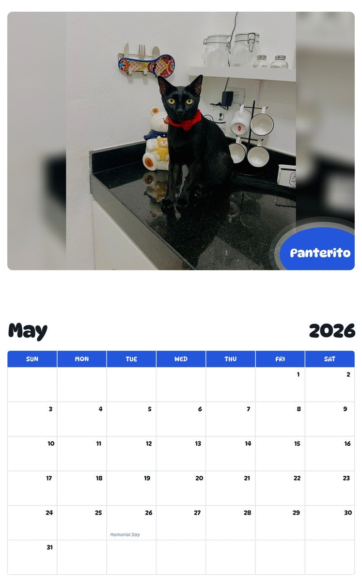 2026 - 2027 Panterito - Pawidols Pet Calendar