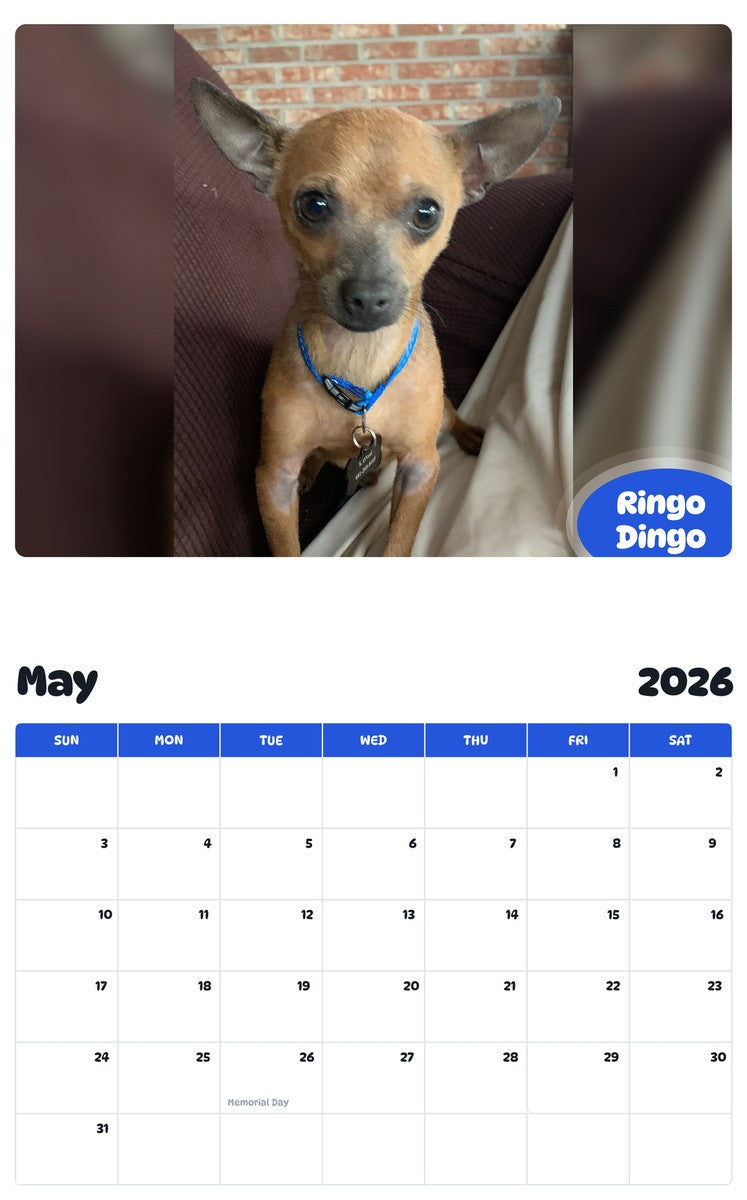 2026 - 2027 Ringo Dingo - Pawidols Pet Calendar