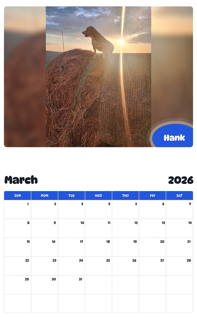 November 2025 - October 2026 Hank - Pawidols Pet Calendar