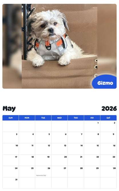 2026 - 2027 Gizmo - Pawidols Pet Calendar