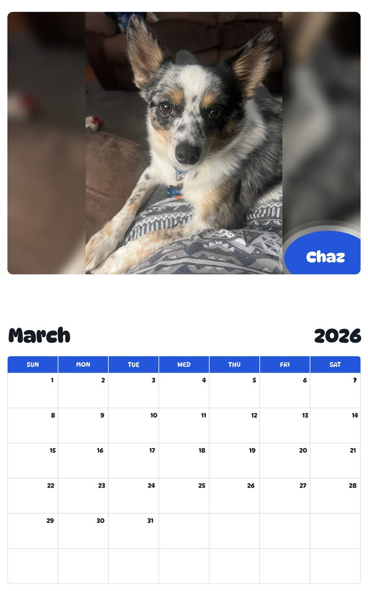 November 2025 - October 2026 Chaz - Pawidols Pet Calendar