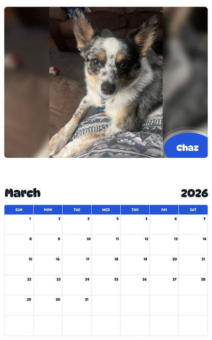 November 2025 - October 2026 Chaz - Pawidols Pet Calendar