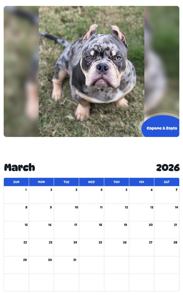 November 2025 - October 2026 Capone & Zayla - Pawidols Pet Calendar