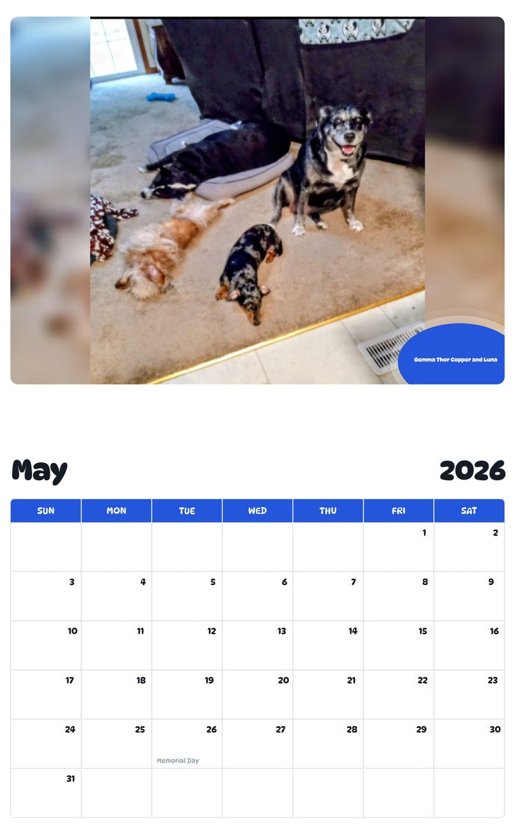 2026 - 2027 Gemma Thor Copper and Luna - Pawidols Pet Calendar