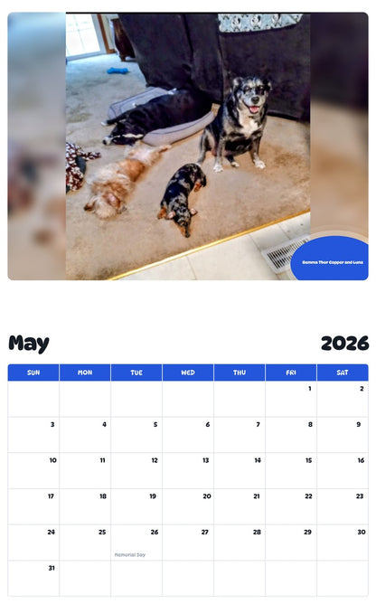 2026 - 2027 Gemma Thor Copper and Luna - Pawidols Pet Calendar