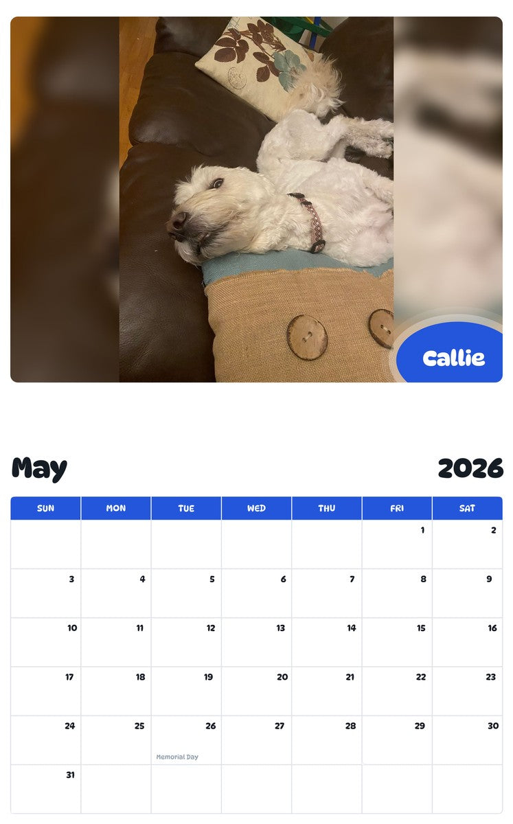 2026 - 2027 Callie - Pawidols Pet Calendar