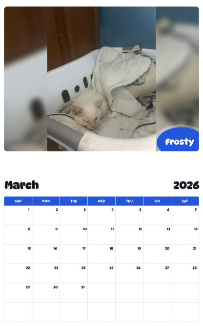 November 2025 - October 2026 Frosty - Pawidols Pet Calendar