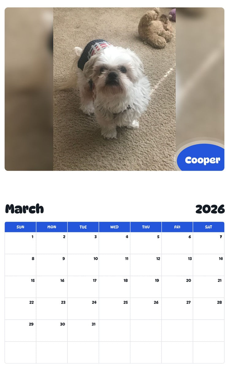 November 2025 - October 2026 Cooper - Pawidols Pet Calendar