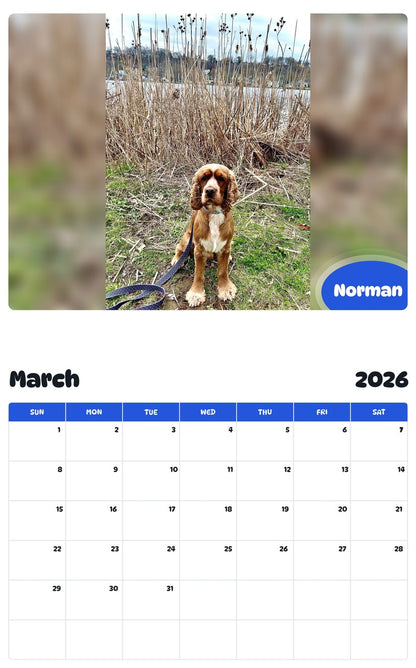 November 2025 - October 2026 Norman - Pawidols Pet Calendar