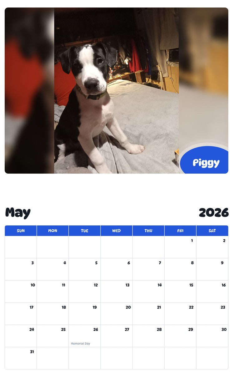 2026 - 2027 Piggy - Pawidols Pet Calendar