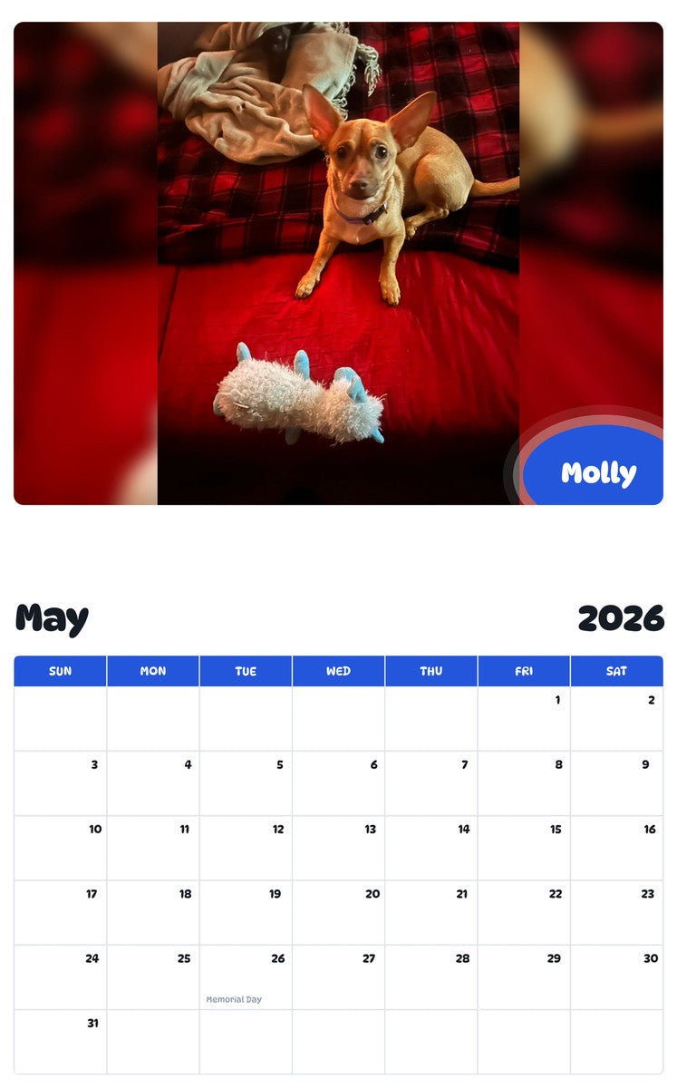 2026 - 2027 Molly - Pawidols Pet Calendar