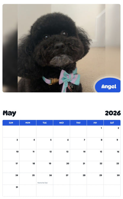 2026 - 2027 Angel - Pawidols Pet Calendar