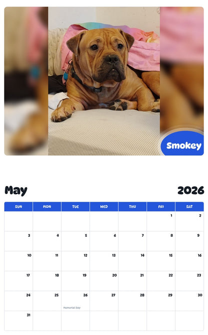 2026 - 2027 Smokey - Pawidols Pet Calendar