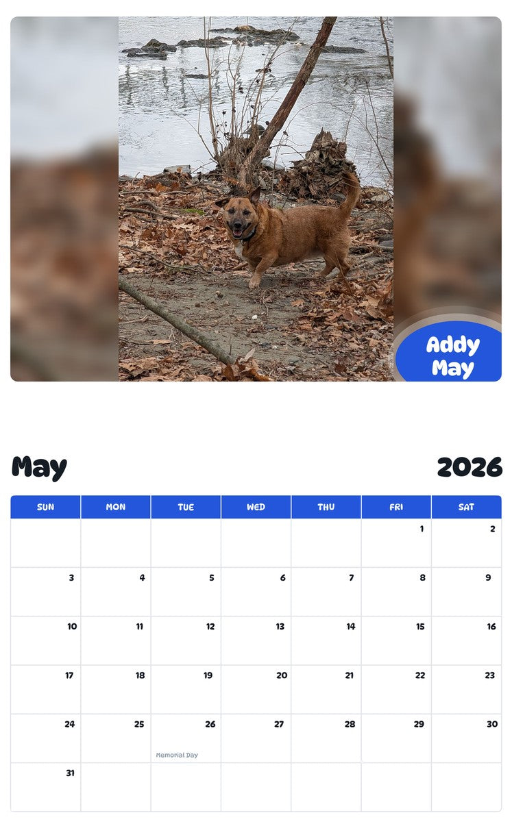 2026 - 2027 Addy May - Pawidols Pet Calendar