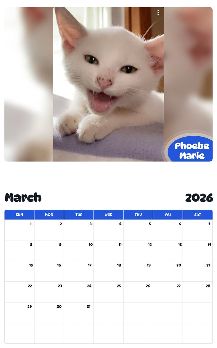 November 2025 - October 2026 Phoebe Marie - Pawidols Pet Calendar