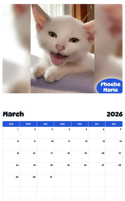 November 2025 - October 2026 Phoebe Marie - Pawidols Pet Calendar