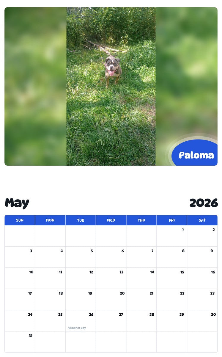 2026 - 2027 Paloma - Pawidols Pet Calendar