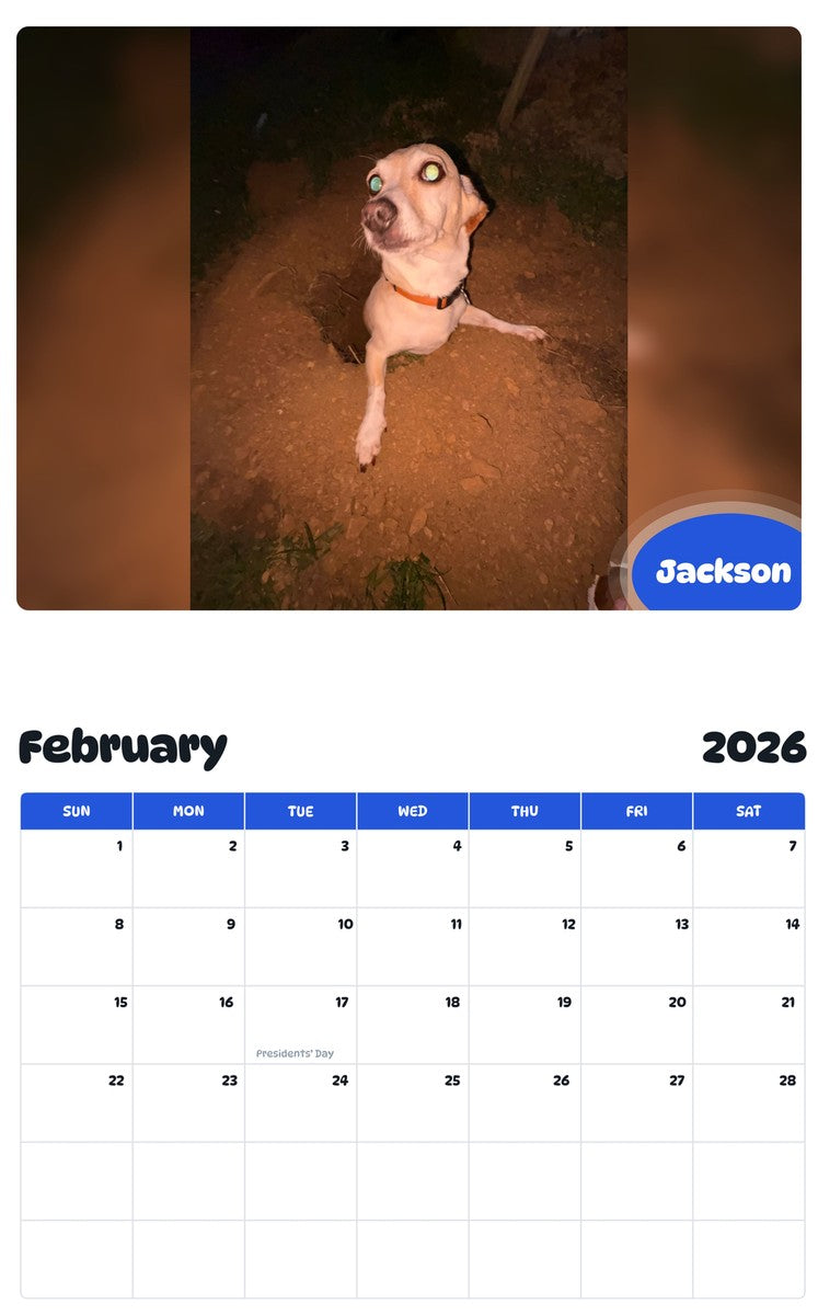 October 2025 - September 2026 Jackson - Pawidols Pet Calendar