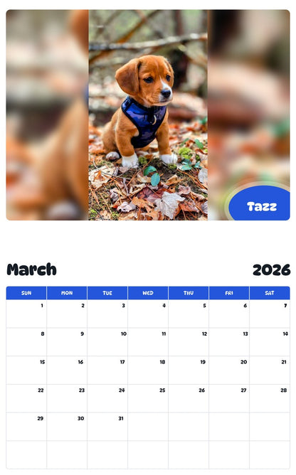 November 2025 - October 2026 Tazz - Pawidols Pet Calendar