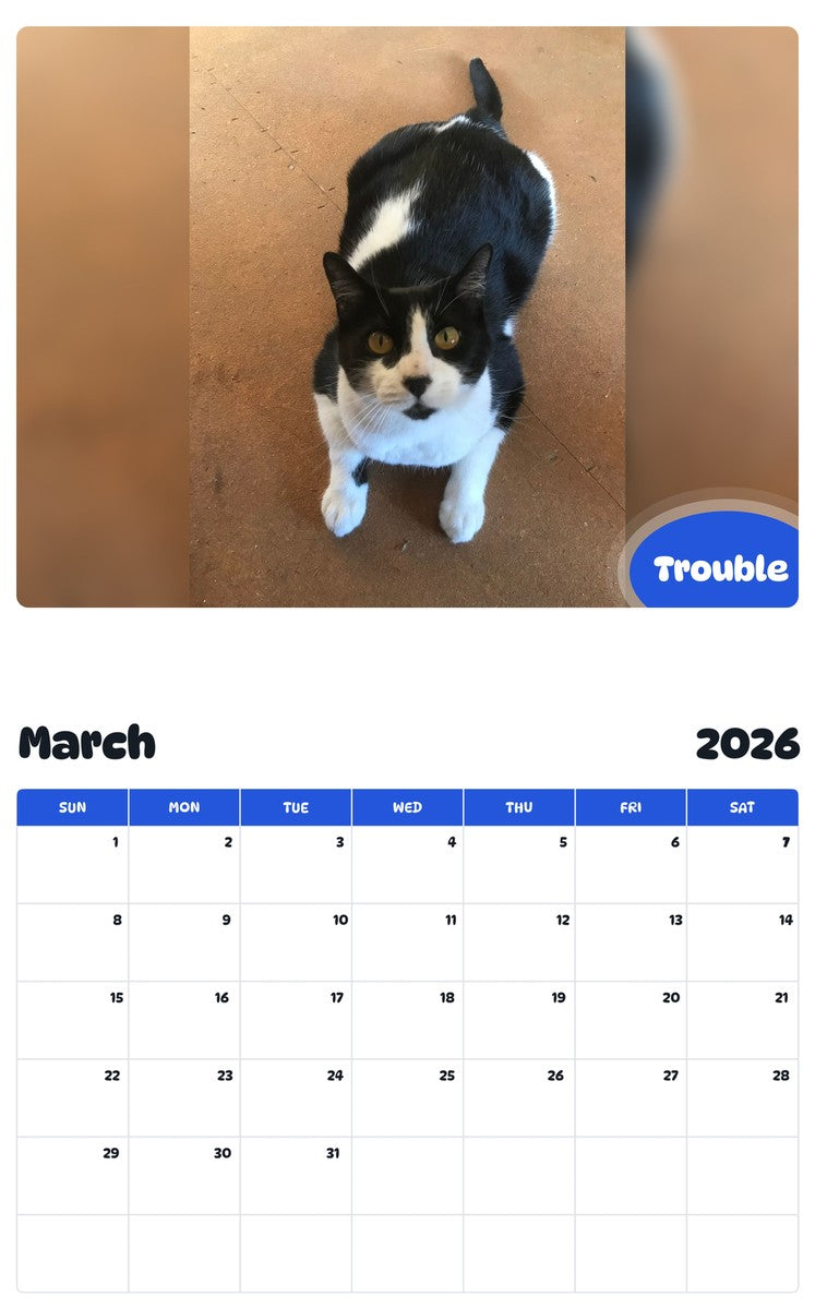 November 2025 - October 2026 Trouble - Pawidols Pet Calendar