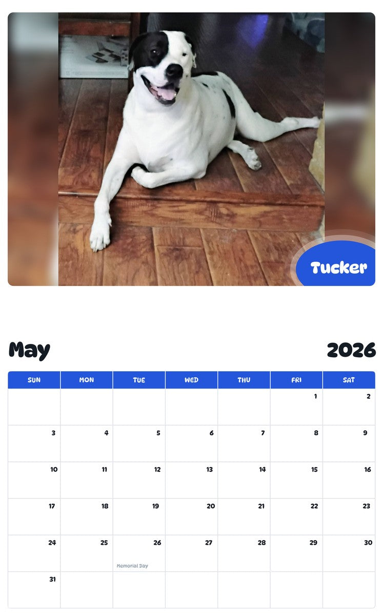 2026 - 2027 Tucker - Pawidols Pet Calendar