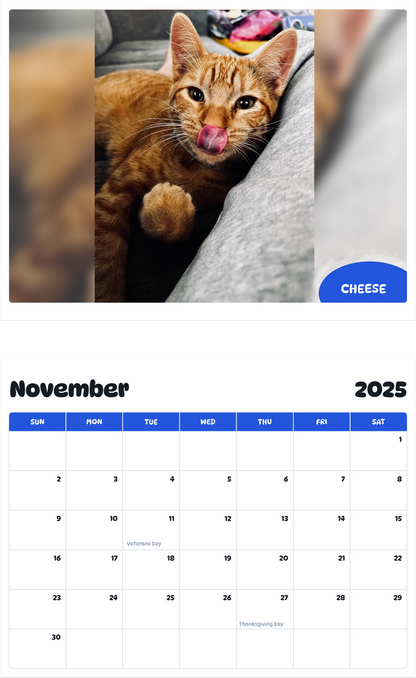 July 2025 - June 2026 Cheese - Pawidols Pet Calendar