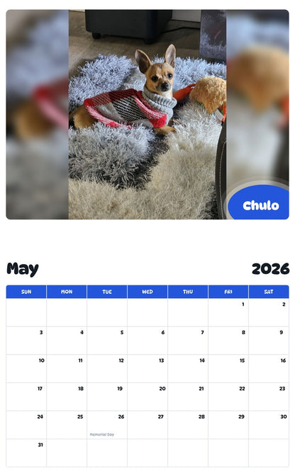 2026 - 2027 Chulo - Pawidols Pet Calendar