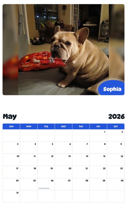 2026 - 2027 Sophia - Pawidols Pet Calendar
