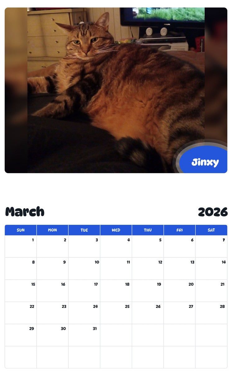 November 2025 - October 2026 Jinxy - Pawidols Pet Calendar