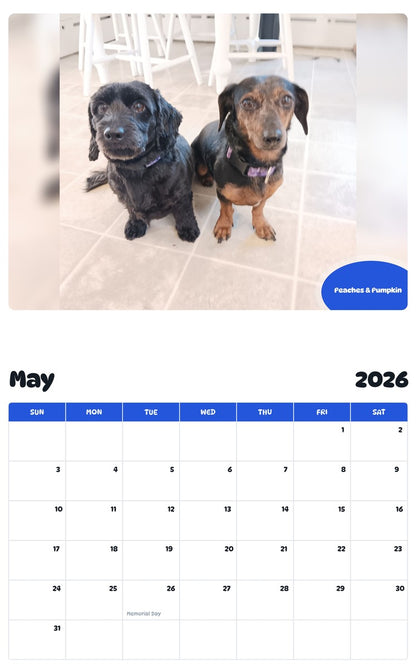 2026 - 2027 Peaches & Pumpkin - Pawidols Pet Calendar