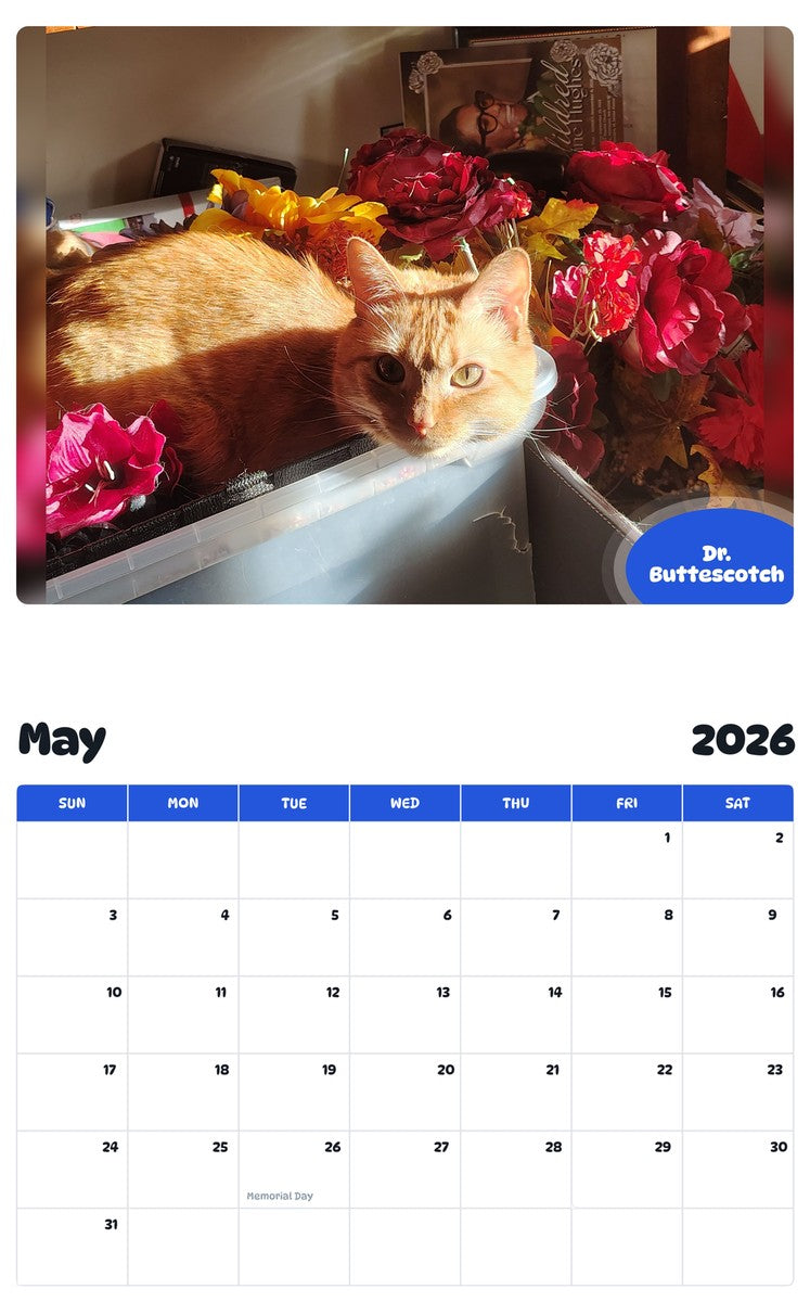 2026 - 2027 Dr. Buttescotch - Pawidols Pet Calendar