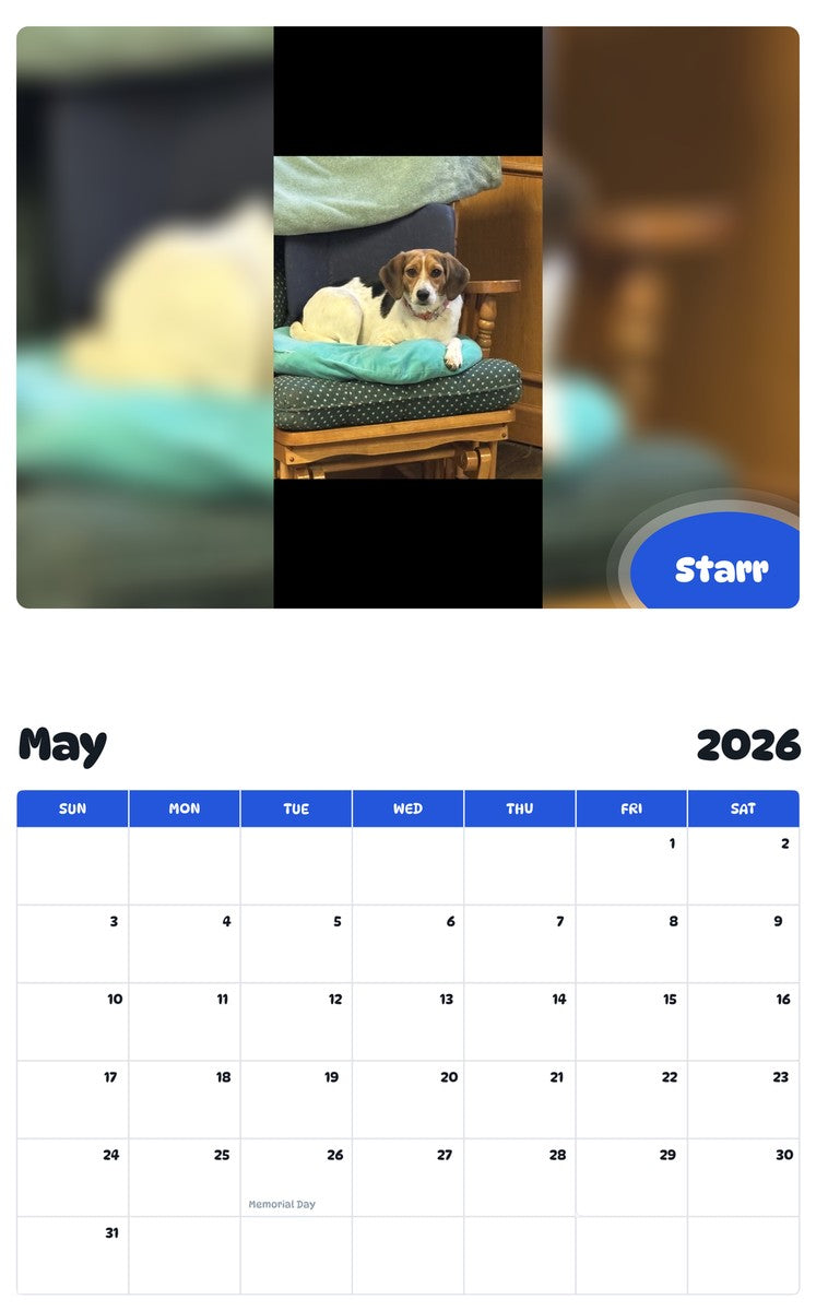 2026 - 2027 Starr - Pawidols Pet Calendar