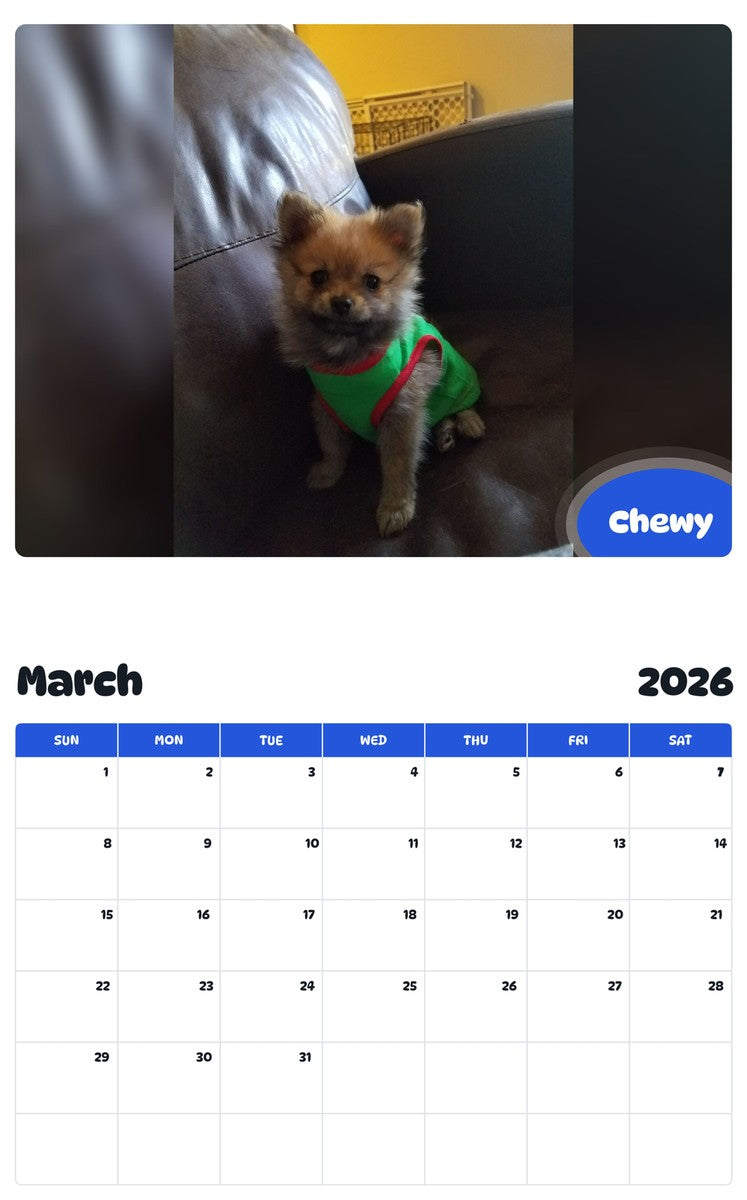 November 2025 - October 2026 Chewy - Pawidols Pet Calendar