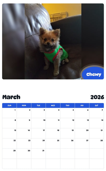 November 2025 - October 2026 Chewy - Pawidols Pet Calendar
