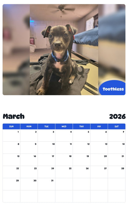 November 2025 - October 2026 Toothless - Pawidols Pet Calendar