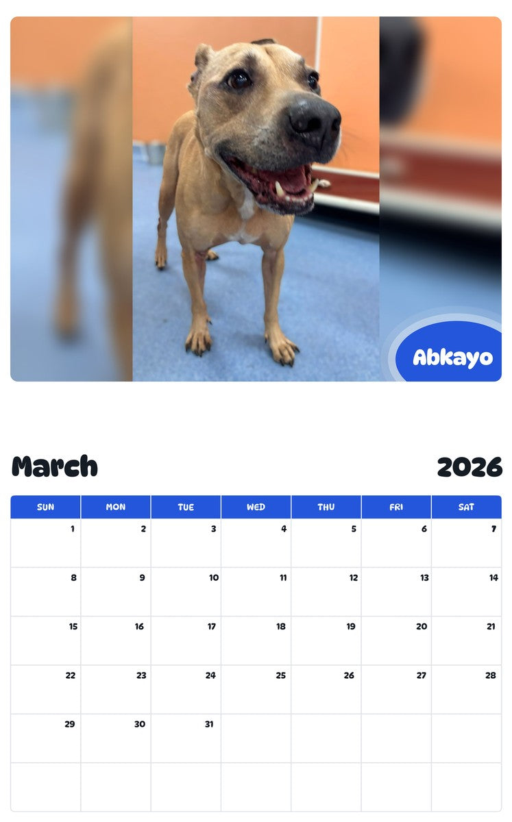 November 2025 - October 2026 Abkayo - Pawidols Pet Calendar