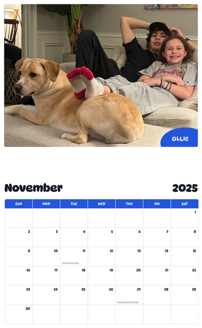 July 2025 - June 2026 Ollie - Pawidols Pet Calendar