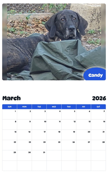 November 2025 - October 2026 Candy - Pawidols Pet Calendar