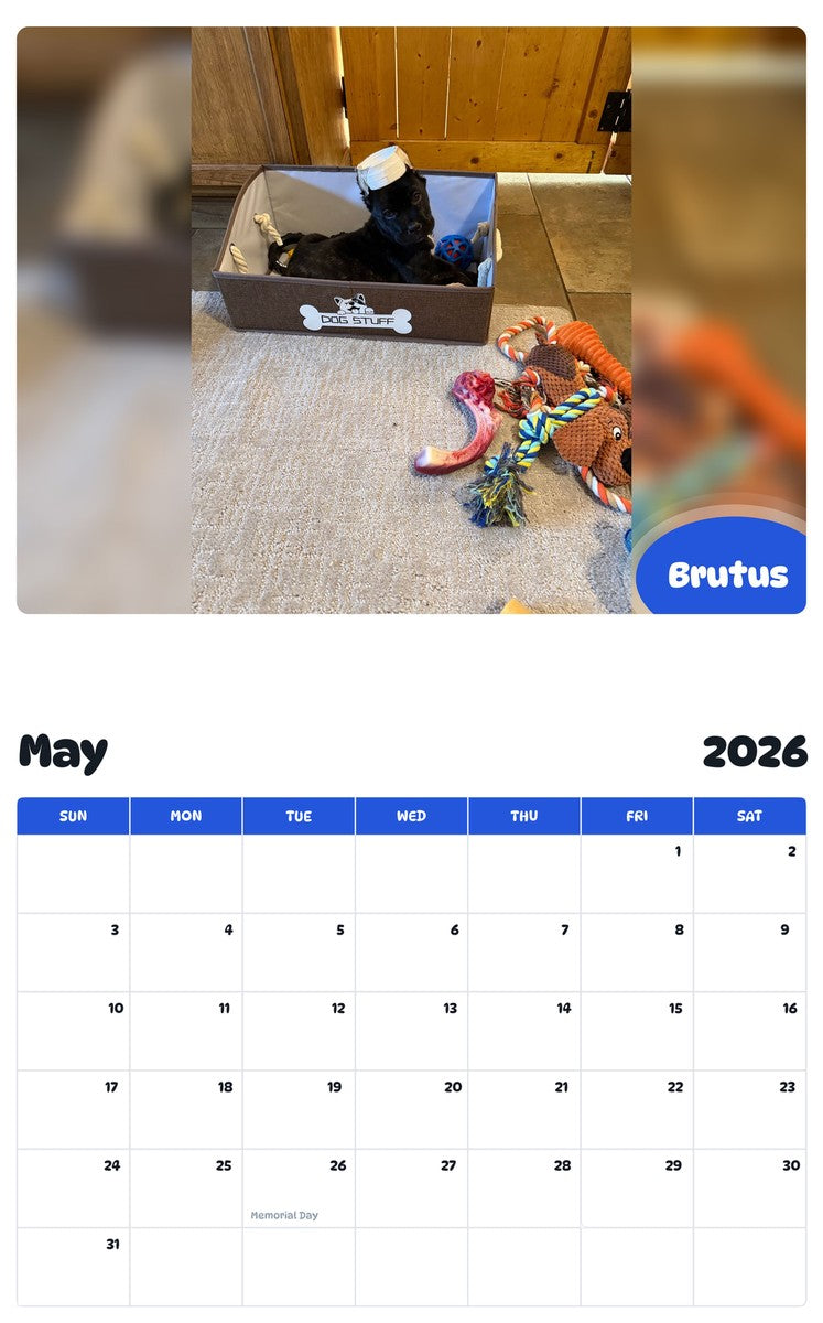 2026 - 2027 Brutus - Pawidols Pet Calendar