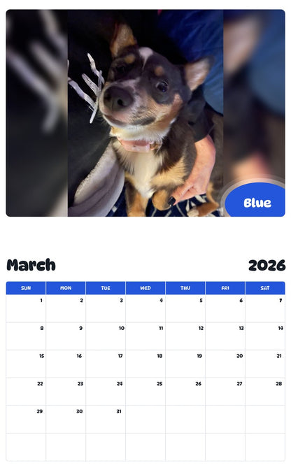 November 2025 - October 2026 Blue - Pawidols Pet Calendar