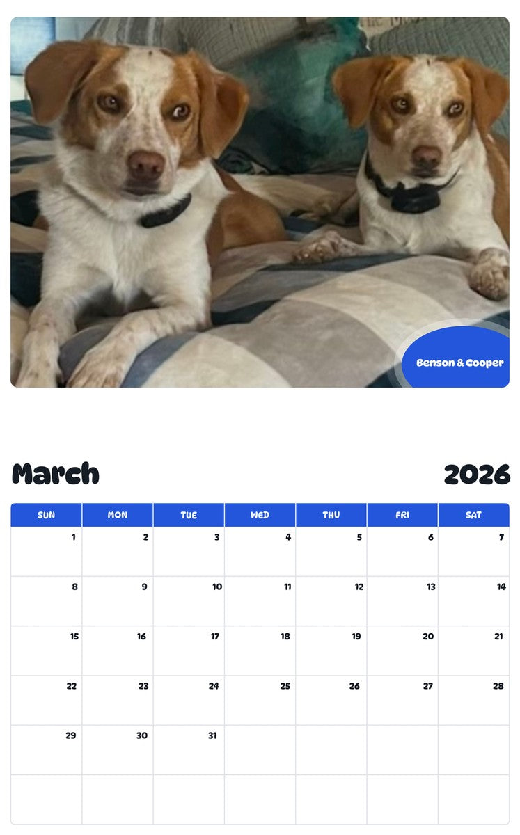 November 2025 - October 2026 Benson & Cooper - Pawidols Pet Calendar