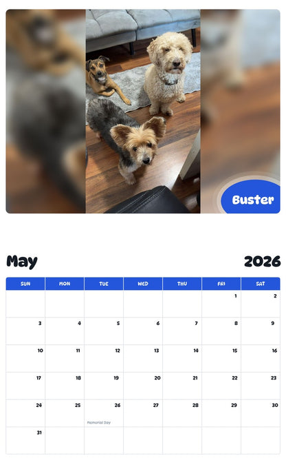 2026 - 2027 Buster - Pawidols Pet Calendar