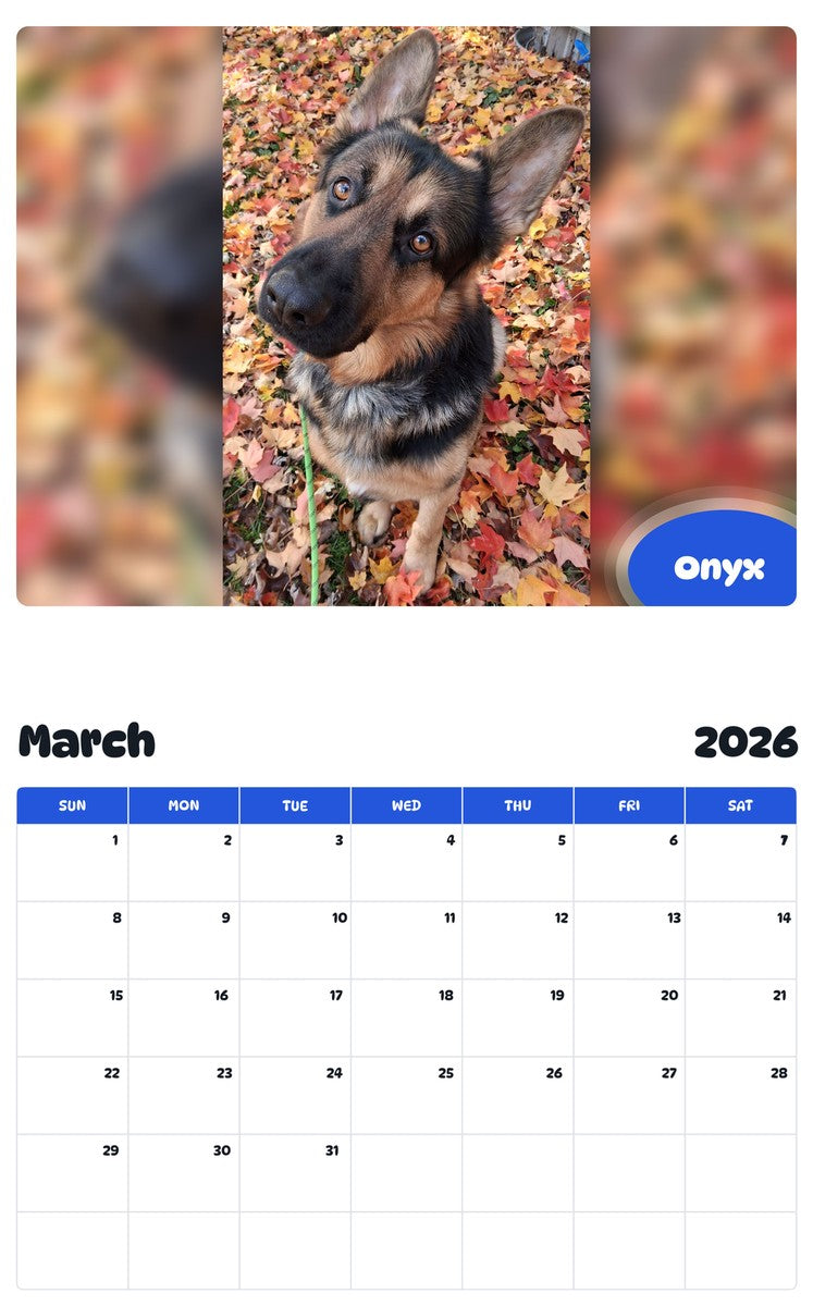 November 2025 - October 2026 Onyx - Pawidols Pet Calendar