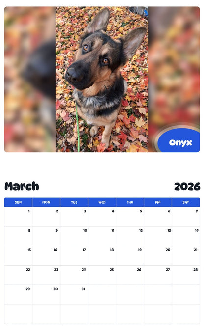 November 2025 - October 2026 Onyx - Pawidols Pet Calendar
