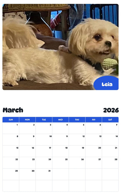 November 2025 - October 2026 Leia - Pawidols Pet Calendar